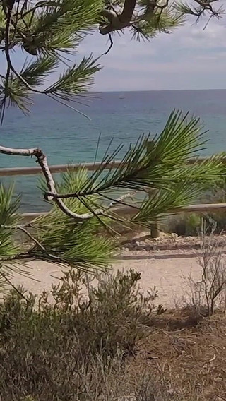 Dick Flash - I Pull Out My Cock in Front of a French Girl... Beach Path and She Helps Me Cum in Mounth Caught!!!