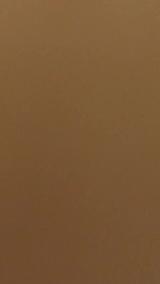 Up the Ass From Behind