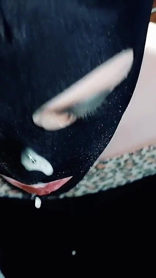 Wife Sucked off a Builder