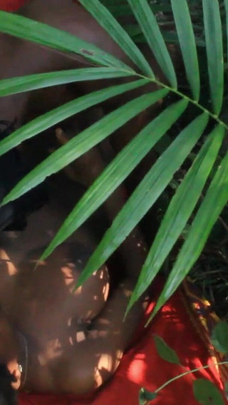 African Lovers in Bush Fucking