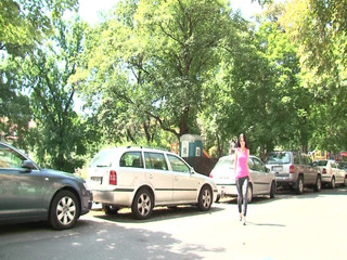 Hot brunette from the park invited for sex