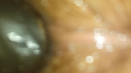 Close-up Machine Fucking Her Tomwoods2020