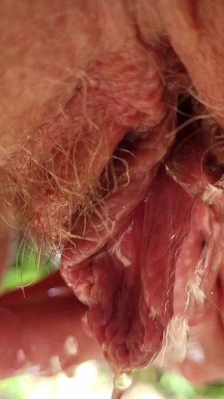 Summer, Sunshine and My Golden Juice