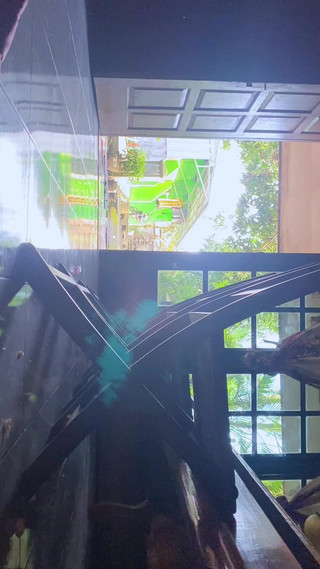 The Second Day of Eid Al-adha Is Held at the in-laws' House