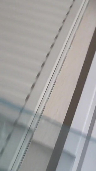 Anne-williams Shooting Day