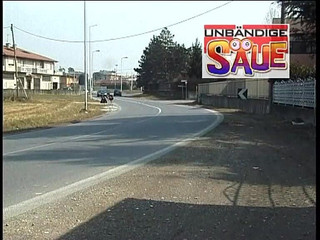 Plump Piglet Meat with Young Pussies