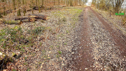 The Wank Game 27 - Try Not to Cum