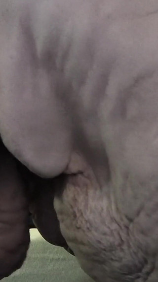 Pissing in the Woods Got Her Fucked Really Good That Ass Is Mine