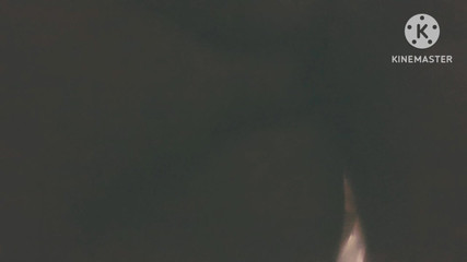 Local Home Made Fuck Desi