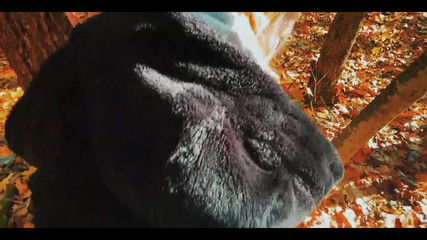 Fucked a Beauty with a Big Ass in the Forest While Walking