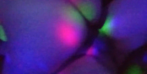 Multicolored Fuck. I Stick My Cock in My Unfaithful Comadre in the Middle of a Shower of Lights...