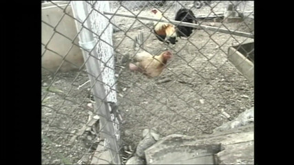 I Get Fucked Everywhere