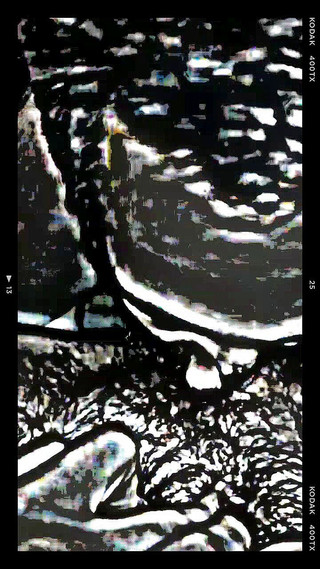 PNW Erotica - Sgt Domina is eager to clean Mrs Domina's fun bits after her long warm pee. Teknovibe