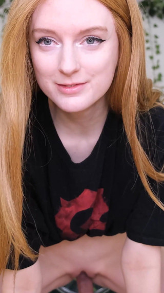 Last Show of the Night