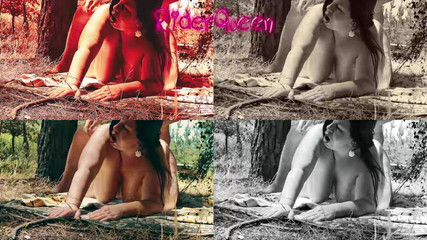 Multicolor Fuck - Follower Video