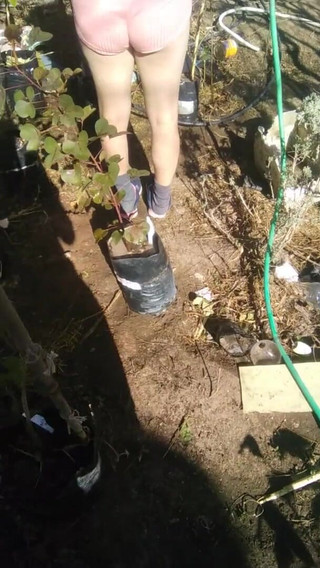 Watching Her Watering