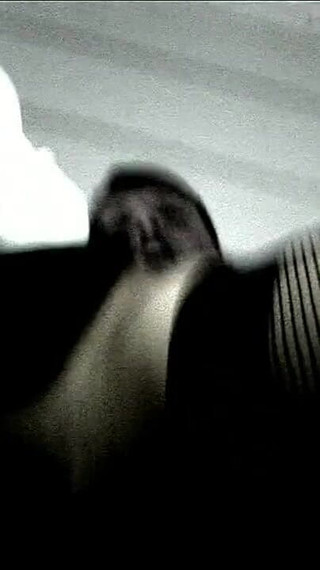 Cuckold and No I'm Not Sorry at All