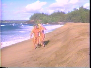 Undercover Agents Francois Papillon and Kascha Were Sent to Hawaii to Catch Syndicate Big Fish