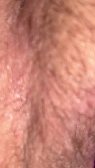 A Trip Down Bunny Lane