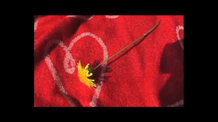 Outdoor Sexual Adventure XXX - (episode #01)