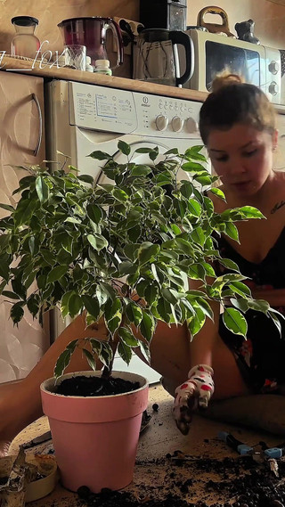 Your Mistress Makes You Lick Your Dirty Feet