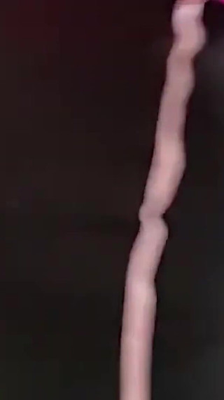 Gigantic Breast Tc's Maids Are the Best Part 1