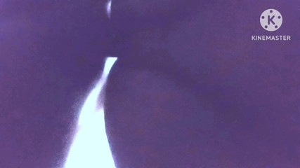 Tight Pussy Stepaunty Big Stepaunty Hard Core Sex Core Core Sex Core Core Sex Stepaunty Indian Stepaunty Desi Stepaunty