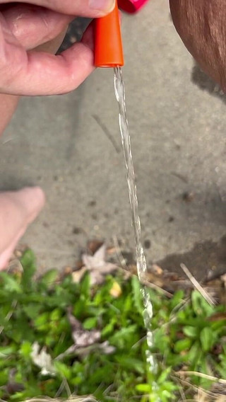 Peeing Through Catheter Outside