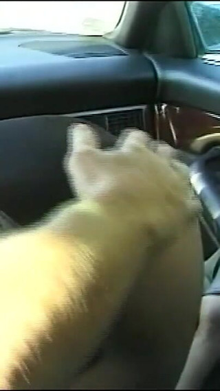 Slutty MILF Sucks Big Cock in Car Then Fucks Her on Highway