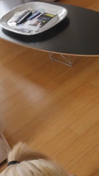 Beautiful blonde stepsis takes a deep dicking