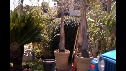 American Whores!!! - Episode 03