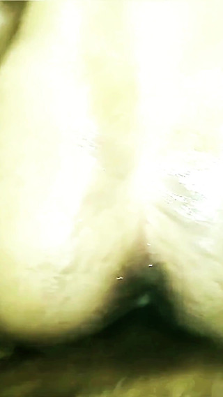 Brazilian Red Snapper 4K Clip