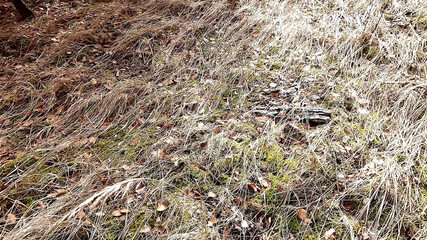 She Makes Her Boobs Available for Pounding