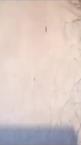 Hot Video Call with My Chubby Stepsister