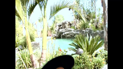 Horny Pussies Are Satisfied