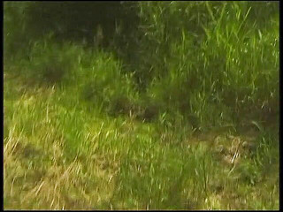 Hairy blonde mature have a nice time outdoors