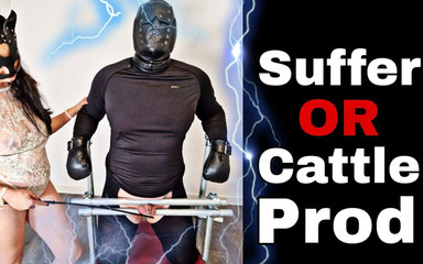 Suffer or Cattle Prod Femdom Training Zero