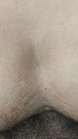 Cock Jerking and Anal Fucking