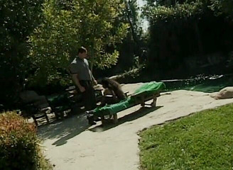 Pussy licked ebony beauty with round booty gets fucked by the swimming pool