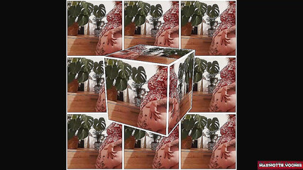 Weak in Front of My Ass