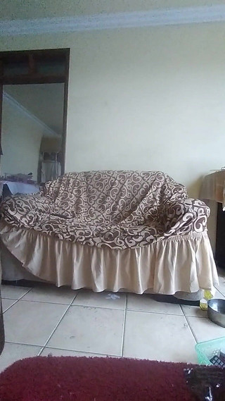 Homemade Sex in the Living Room with the Maid