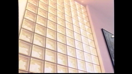 A Young Rocco Bangs a Beautiful Brunette