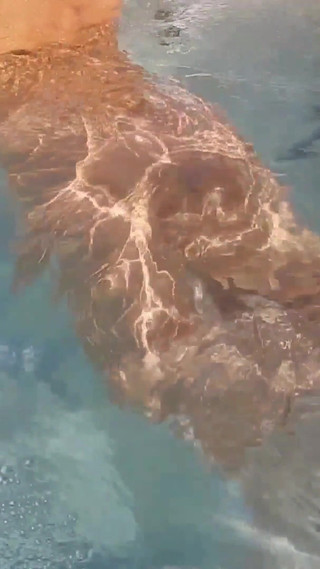 Amateur Blonde Mature Wife Enjoys Outdoor Sex