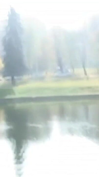 The young brunette girl loves to be transgressive by having sex in the park with a friend