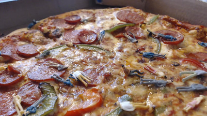 Hotwife Uses Men as Pizza Topping + Burp