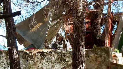 Cock hungry brunette babe gets slammed in her butt hole