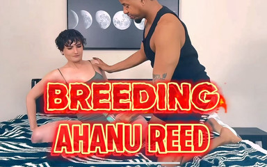 Breeding in Process with Ahanu Reed