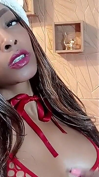 Your Nice Christmas Wish