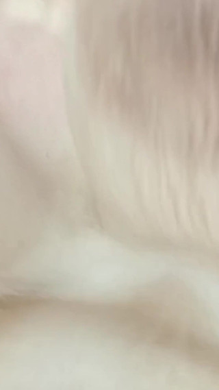 Emergency Horny Slut Needs It in Her Ass Will She Pass Gas?