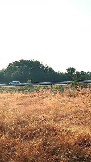 Humiliation of the Slave Girl Tich - Showing Her Pussy and Tits